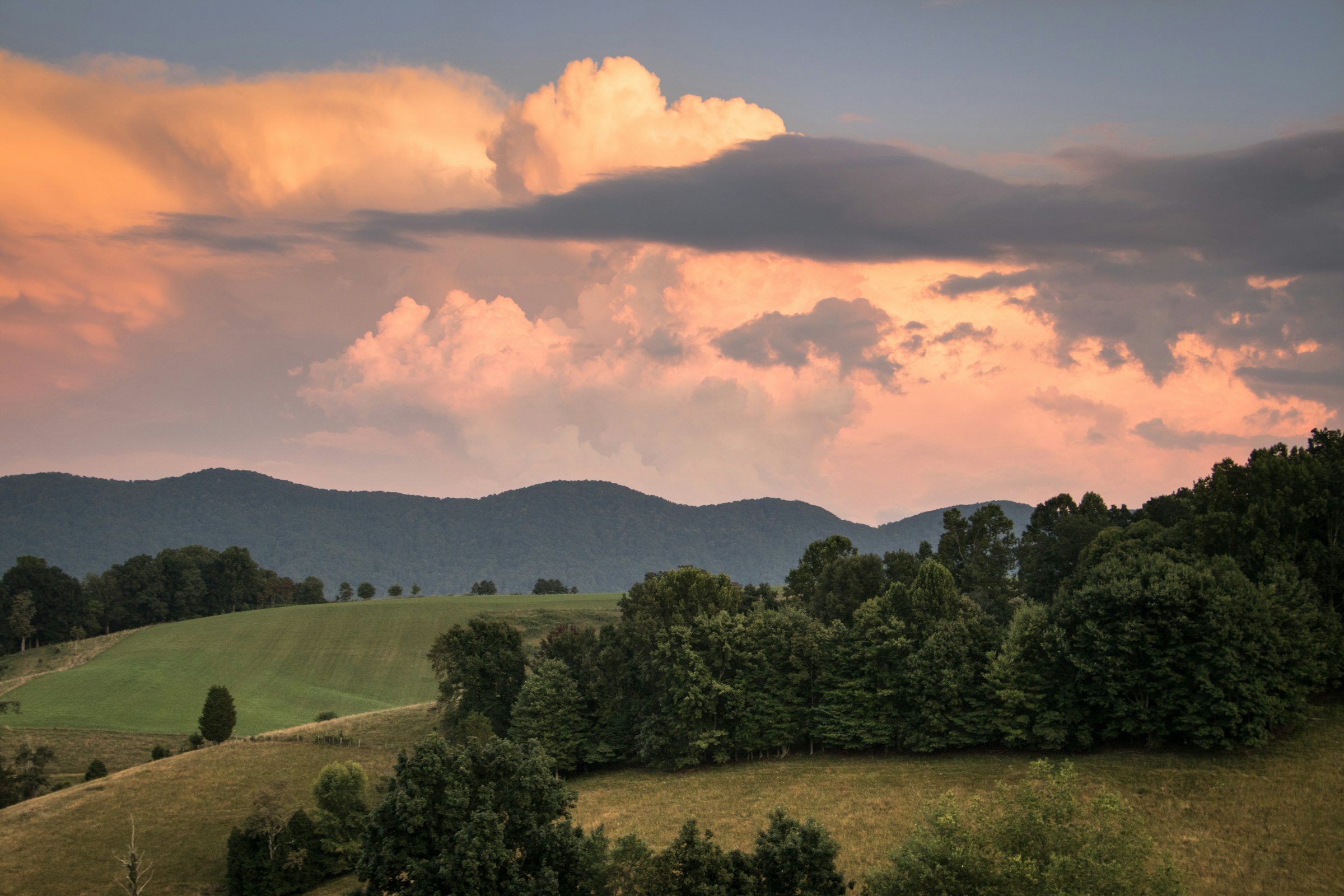 Crozet